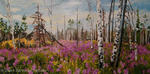 Fireweed Meadow            SOLD