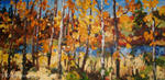 Lake of the Prairie     ARTIST'S COLLECTION