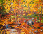 Pond                 SOLD
