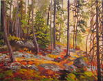Boreal Light 22x28 Original OilSOLD