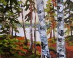 Boreal Birch sketch 8x10 Original OilSOLD