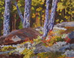 Boreal Garden 11x14 Original Oil