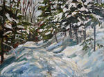 Snowshoe Path               SOLD