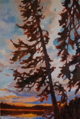 Pine 24x36 SOLD