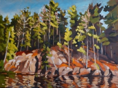 Northern Sunlit Shore SOLD oil SOLD