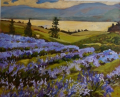 Lavender Farm 24x30 oil