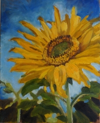 Sunflower SOLD