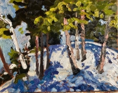 Winter 11x14 oil