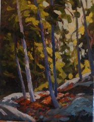 Forest Nook 14x18 oil